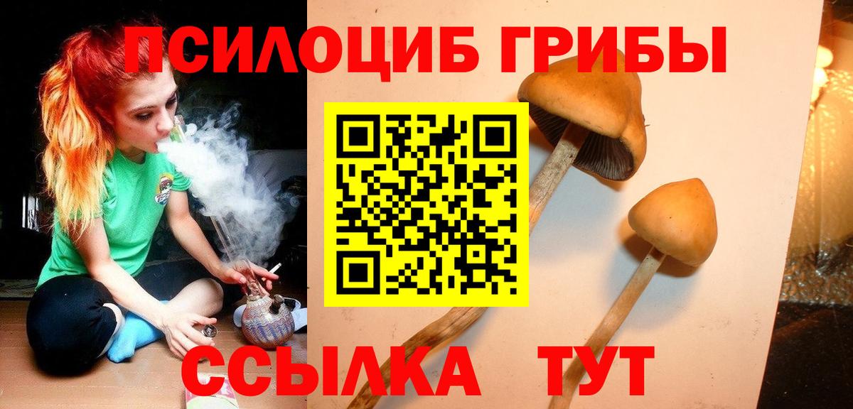 Галлюциногенные грибы GOLDEN TEACHER Санкт-Петербург