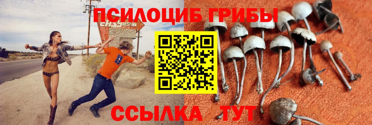 Псилоцибиновые грибы MAGIC MUSHROOMS  Вход с VPN  купить наркоту  Галлюциногенные грибы MAGIC MUSHROOMS  Санкт-Петербург 